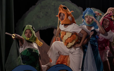 Amoeba, entre discipline et liberté