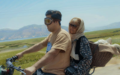 Singing Wings : rester ou partir