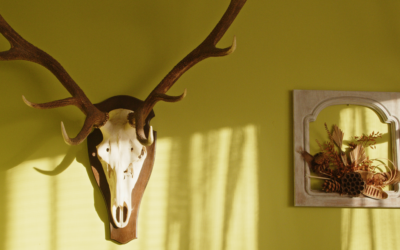 Un quotidien partagé dans le no man’s land polono-biélorusse